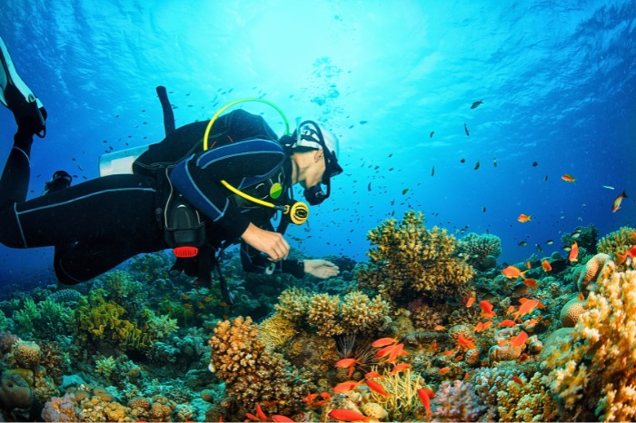 best cozumel diving