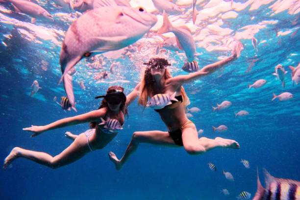 Two snorkelers underwater surrounded by colorful fish in clear blue water.