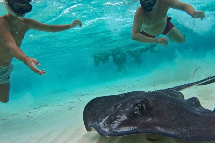 Two snorkelers swimming underwater with a large stingray on sandy ocean floor.