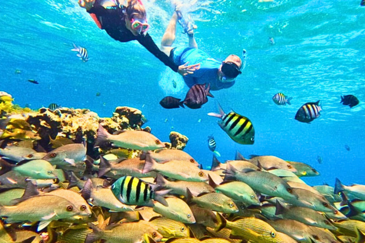 Two snorkelers swim above a coral reef with colorful fish underwater.